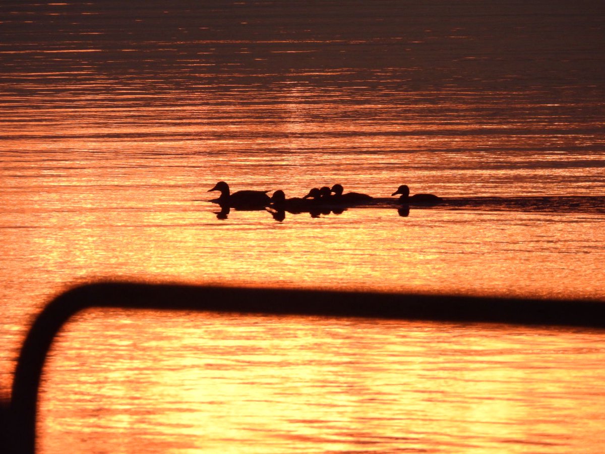 Camlake Canvas (@camlakecanvas) on Twitter photo Sunset last night was subtle but beautiful by lough Melvin <a href="/barrabest/">Barra Best</a> <a href="/WeatherCee/">Cecilia Daly</a> <a href="/angie_weather/">angie phillips</a> <a href="/mcaleese_anne/">YpamAnnie</a> <a href="/Louise_utv/">Louise Small</a> <a href="/linzilima/">Linzi Lima</a> <a href="/WeatherAisling/">Aisling Creevey</a> <a href="/deric_tv/">Deric</a> <a href="/Bigpaddy2/">Gerry Dolan</a> <a href="/jemma_dolan/">Jemma Dolan</a> <a href="/michaelkeown73/">Michael Keown</a> <a href="/ger_treacy/">Ger Treacy</a> <a href="/tomgilroy33/">Tom Gilroy</a> <a href="/PaulMulrone/">Paul Mulrone</a> <a href="/love_leitrim/">Love Leitrim</a> <a href="/leitrimtourism/">Leitrim Tourism #EnjoyLeitrim</a> Sunset last night was subtle but beautiful by lough Melvin <a href="/barrabest/">Barra Best</a> <a href="/WeatherCee/">Cecilia Daly</a> <a href="/angie_weather/">angie phillips</a> <a href="/mcaleese_anne/">YpamAnnie</a> <a href="/Louise_utv/">Louise Small</a> <a href="/linzilima/">Linzi Lima</a> <a href="/WeatherAisling/">Aisling Creevey</a> <a href="/deric_tv/">Deric</a> <a href="/Bigpaddy2/">Gerry Dolan</a> <a href="/jemma_dolan/">Jemma Dolan</a> <a href="/michaelkeown73/">Michael Keown</a> <a href="/ger_treacy/">Ger Treacy</a> <a href="/tomgilroy33/">Tom Gilroy</a> <a href="/PaulMulrone/">Paul Mulrone</a> <a href="/love_leitrim/">Love Leitrim</a> <a href="/leitrimtourism/">Leitrim Tourism #EnjoyLeitrim</a>