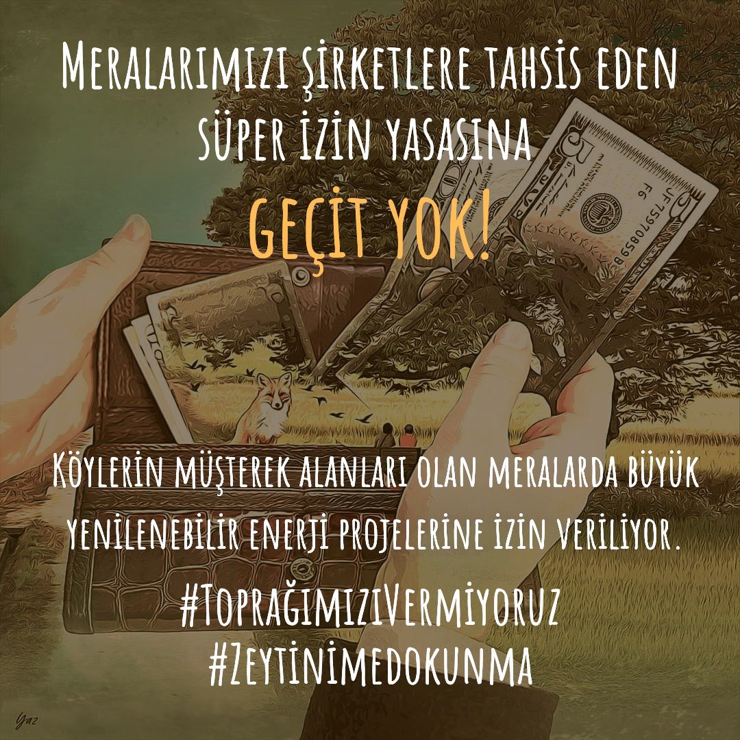 MUÇEP Fethiye tweet media