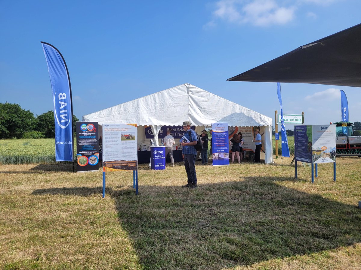 niabgroup's tweet image. Set up and ready for today's Morley Innovation Day. Come say hello, tour the wheat and barley plots with #Niab experts and discuss and speak to us on the stand.