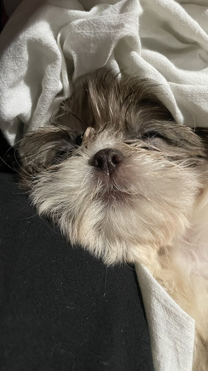 thvkell's tweet image. Bom dia pro baby Theo que não que acordar e tá com muita preguicinha