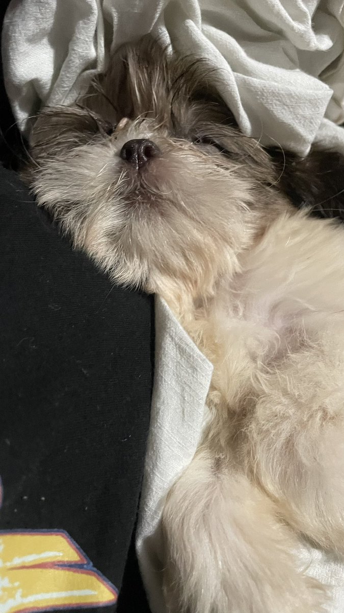 thvkell's tweet image. Bom dia pro baby Theo que não que acordar e tá com muita preguicinha