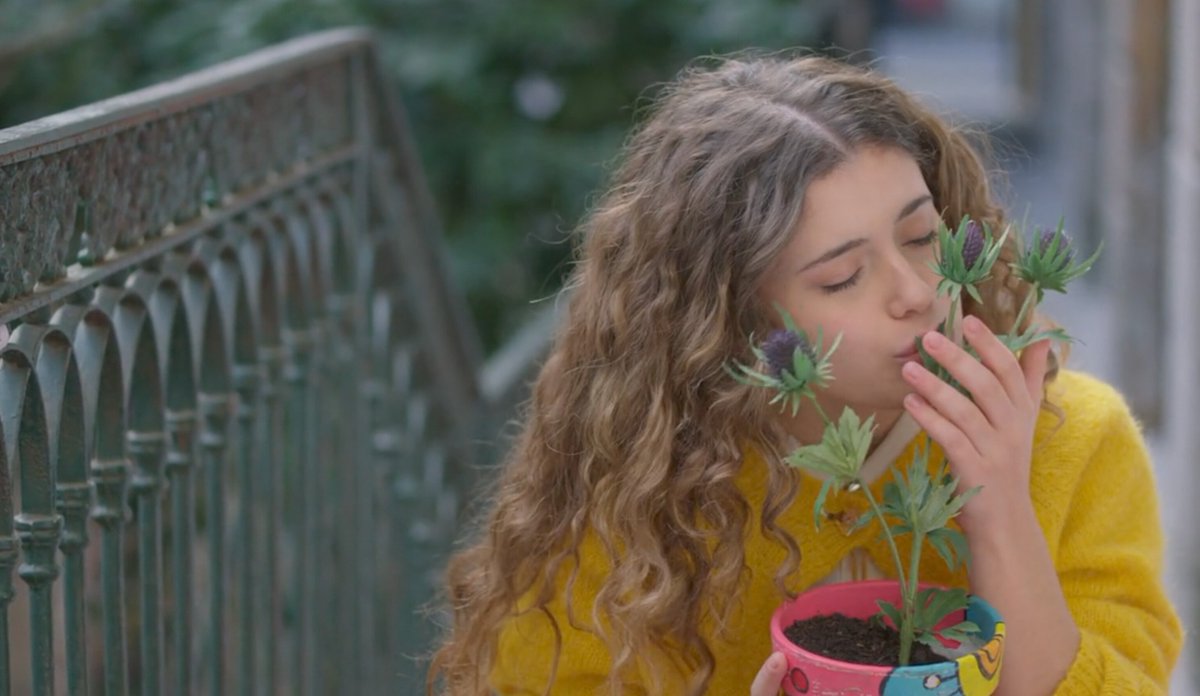 Marlin_realeza's tweet photo. "Como es que a una Margarita le gusten tanto los cardos..." - Merlin 😊❤️🌼👑 #margaritasitequiere #margarita #margaritaS2 #merlin #cardo #cardos #quetucuentovalgalapena #cuentodehadas #princesita #mora #morabianchi https://t.co/Th6zTDuND1