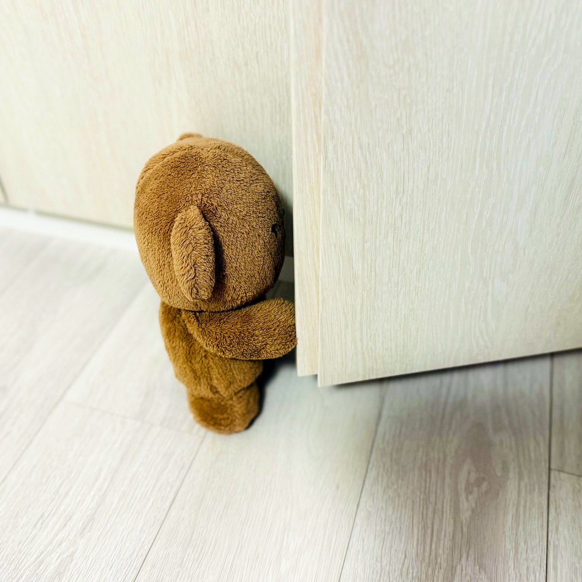 BorisPori's tweet image. そうじはまた今度( ・ᴥ・ )✨