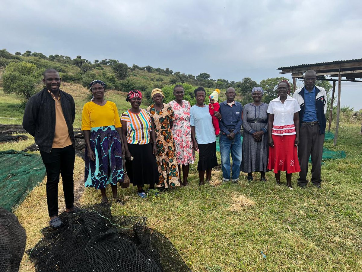 WA-WA Kenya (@wawakenya1) on Twitter photo We're proud to install 2 fish cages in Lake Victoria with support from <a href="/MakingMoreH/">Making More Health</a> and Fred Foundation!🐟🩵
They'll empower 2 women groups with sustainable income through fish farming, a step toward dignity, resilience, and locally driven change🙌🏾
#womeneconomicempowerment We're proud to install 2 fish cages in Lake Victoria with support from <a href="/MakingMoreH/">Making More Health</a> and Fred Foundation!🐟🩵
They'll empower 2 women groups with sustainable income through fish farming, a step toward dignity, resilience, and locally driven change🙌🏾
#womeneconomicempowerment