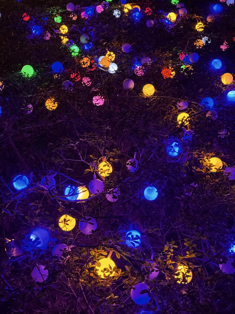 <a href="/jjmmli/">Jocaccia</a>