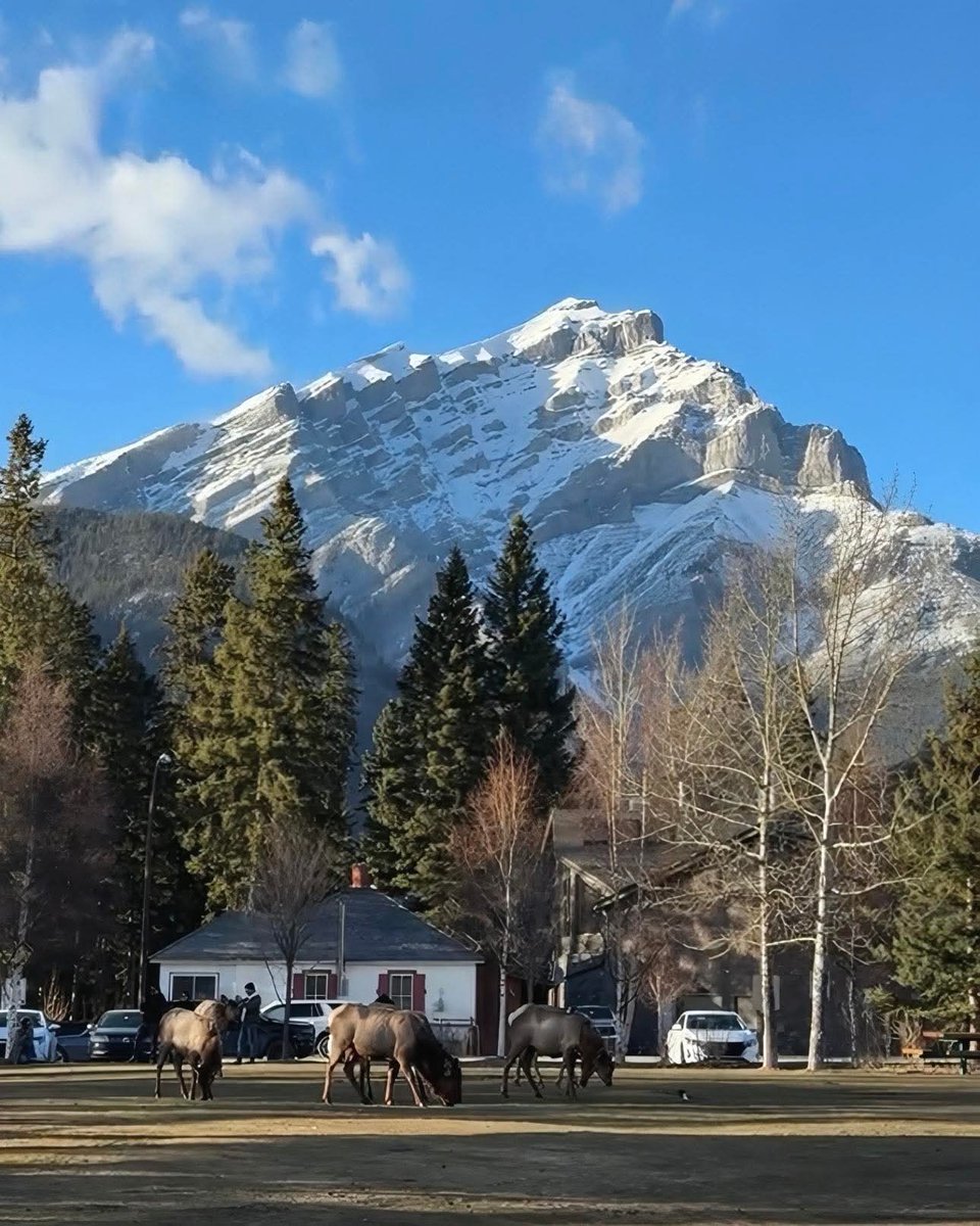 Carpe Diem! 💐😃

Good morning 🏔
Canada ❤️