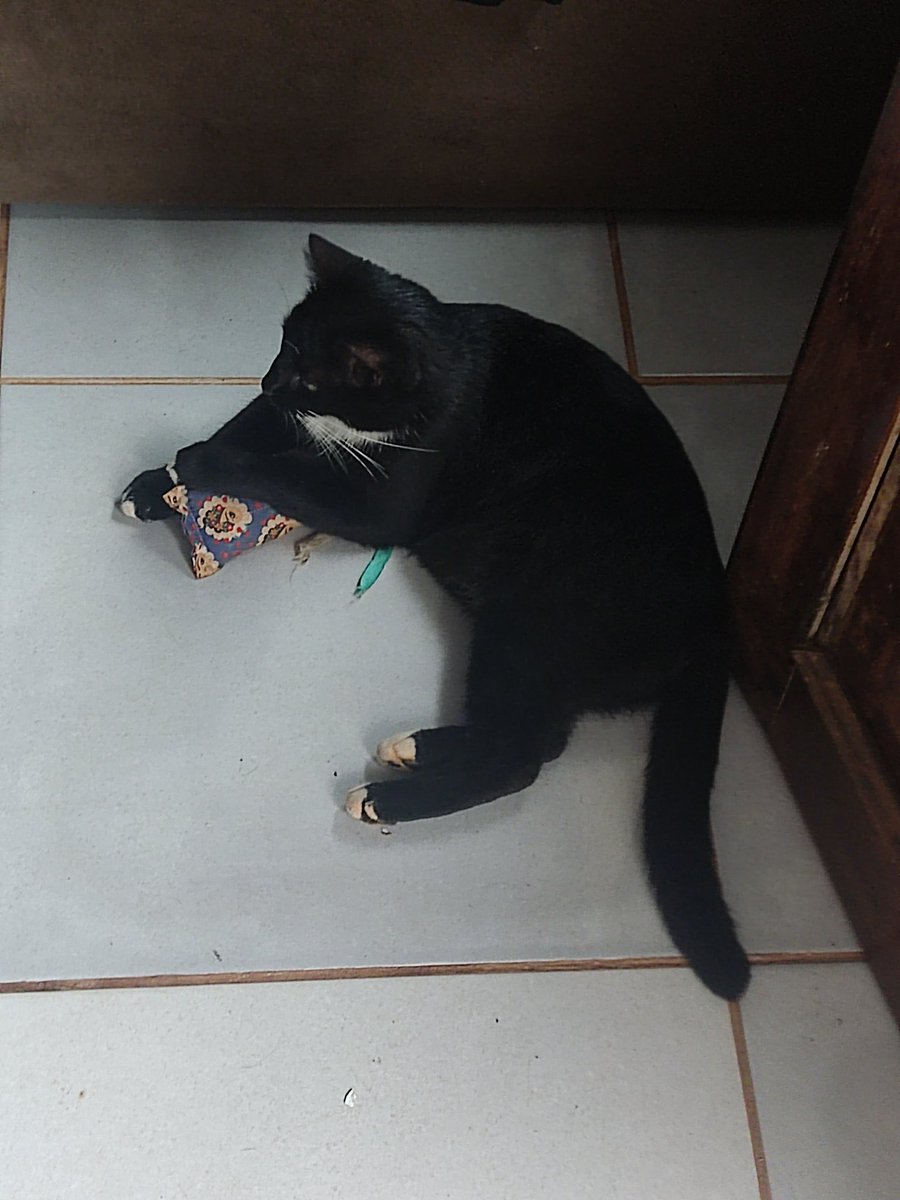 little photo of satan bc I love him