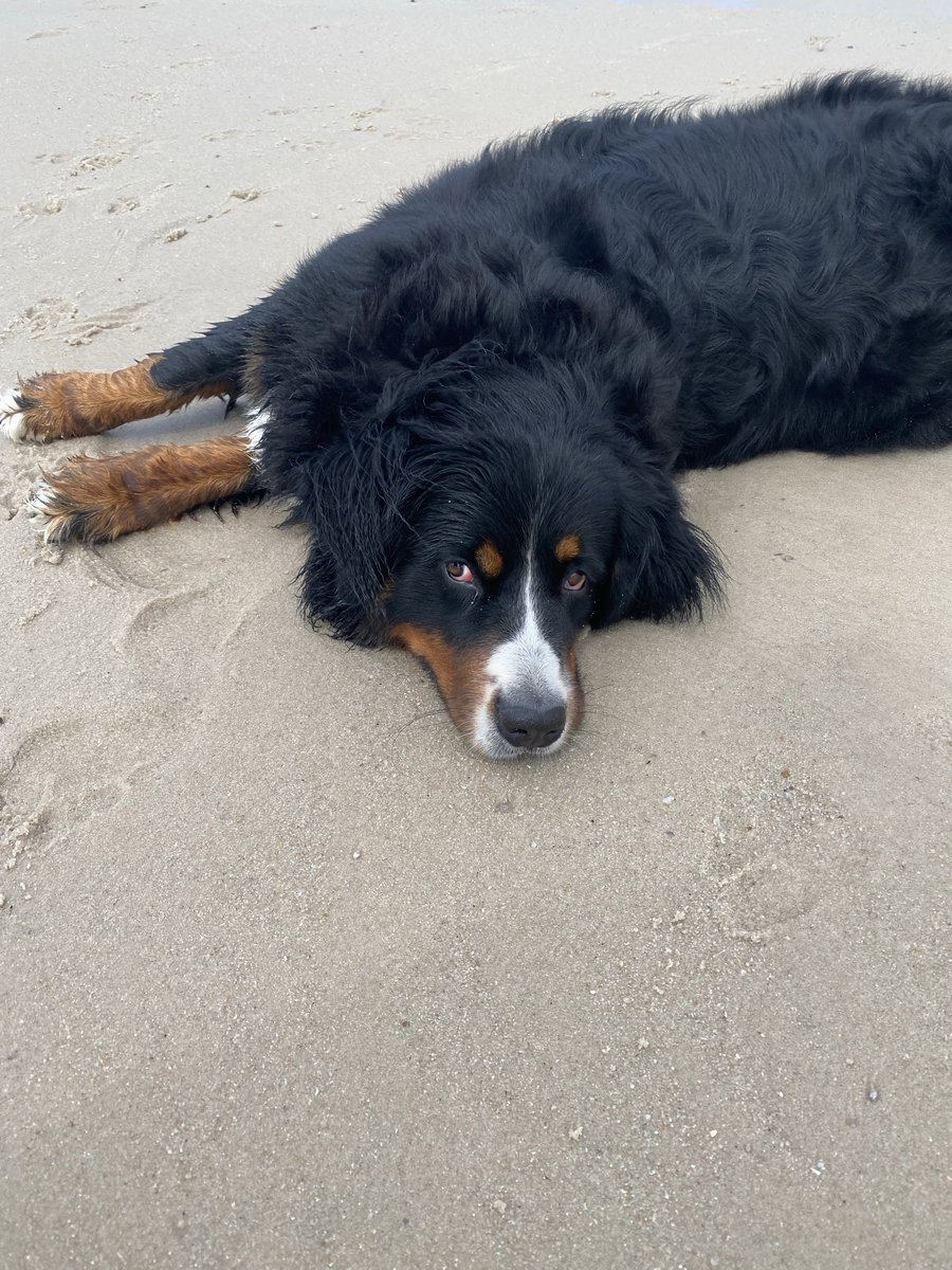 …aber einmal stand geht noch 🤭