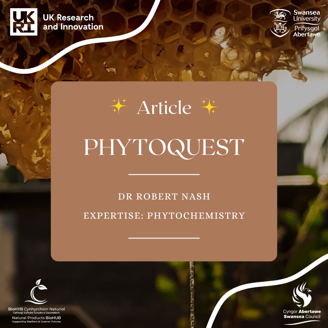 SwanseaBioHUB's tweet image. Looking to partner with the BioHUB? Hear from PhytoQuest 🤝

Dr. Nash leads PhytoQuest and is a global leader in the field of phytochemistry.

&quot;When we heard about the hub, we knew we wanted to collaborate and work with the team...&quot;

Read more &amp;gt;&amp;gt; bit.ly/3Gd3LA4

#Swansea