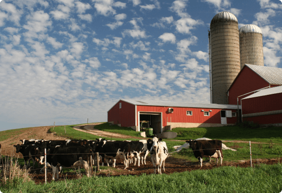 AmFamAgentMike's tweet photo. Your farm isn’t just your dream, it’s your livelihood. Let us help protect it with great insurance. Contact us today for a quote!
https://t.co/WDu5DhaKKI https://t.co/hAiRrWZh7q