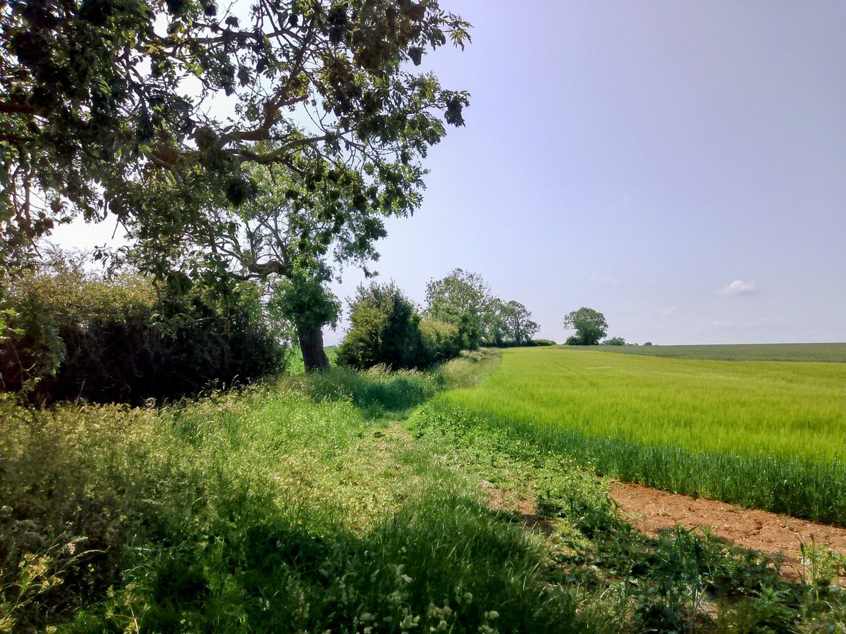 phil0073's tweet photo. #Orton2faxton by #MickleDale & #JebCorner
#PhilOnaBike #FootpathFriday #BywayFriday #treepeople #FridayFields https://t.co/E06vR2sbaa