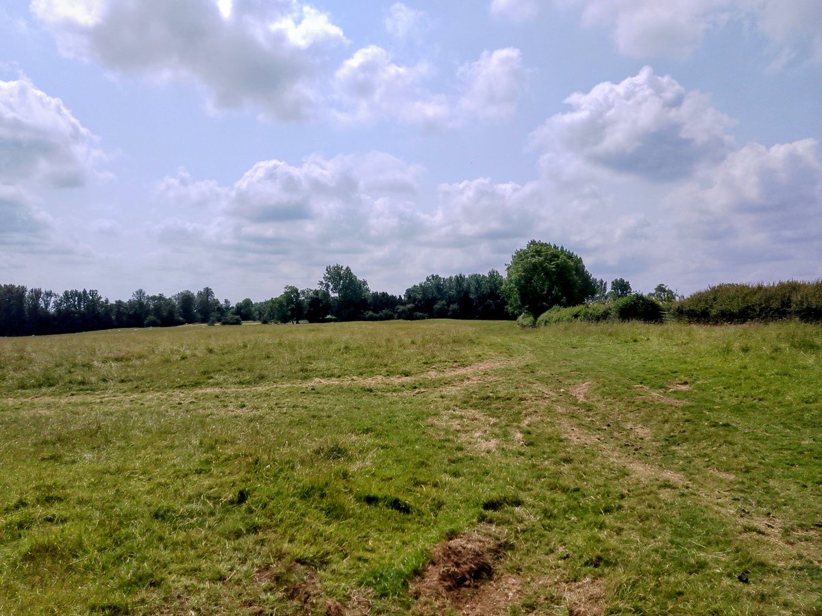 phil0073's tweet photo. #CliffesDale 2 , an old field with 3 old ways running there, #Orton2faxton , #Faxton2MawsleyWood , #Kettering2Faxton .
#PhilOnaBike #BywayFriday #FootpathFriday #FridayFields #clouds https://t.co/SMGCFSv4gG