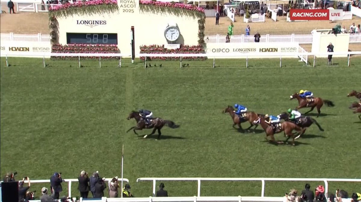 Racing_Previews's tweet image. Norfolk favourites curse broken.

Rocket 🚀 #CharlesDarwin