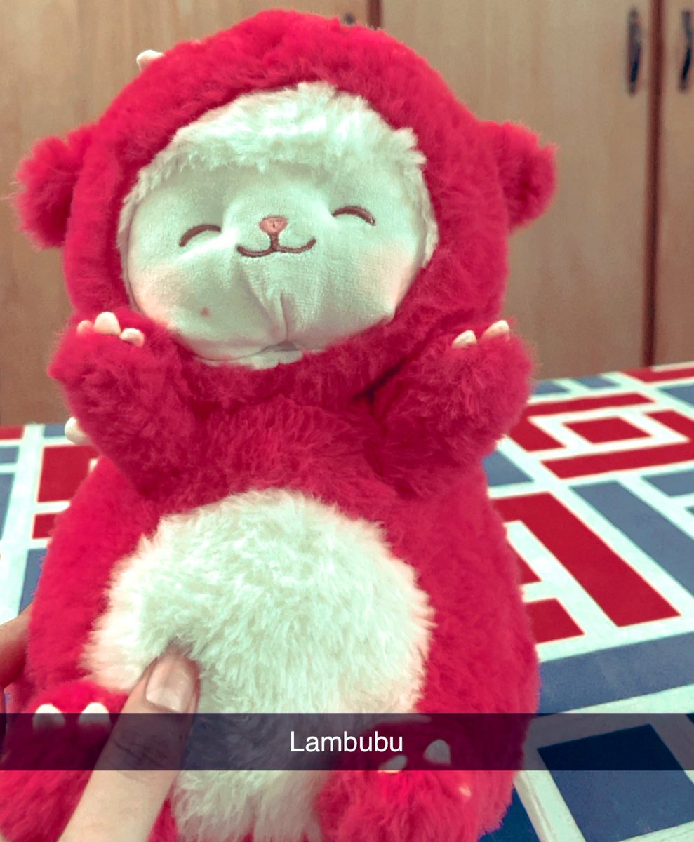 missparanomasia's tweet photo. The only bubu I can afford #labubu https://t.co/0JCYqYb1bS