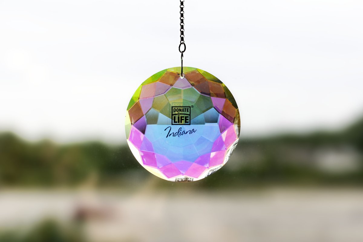 The first day of summer is just around the corner which means more sunshine! 

Capture those extra rays in the new Donate Life Indiana sun catcher and show your support of organ donation and transplantation!

Purchase yours today here: donate-life-indiana.square.site