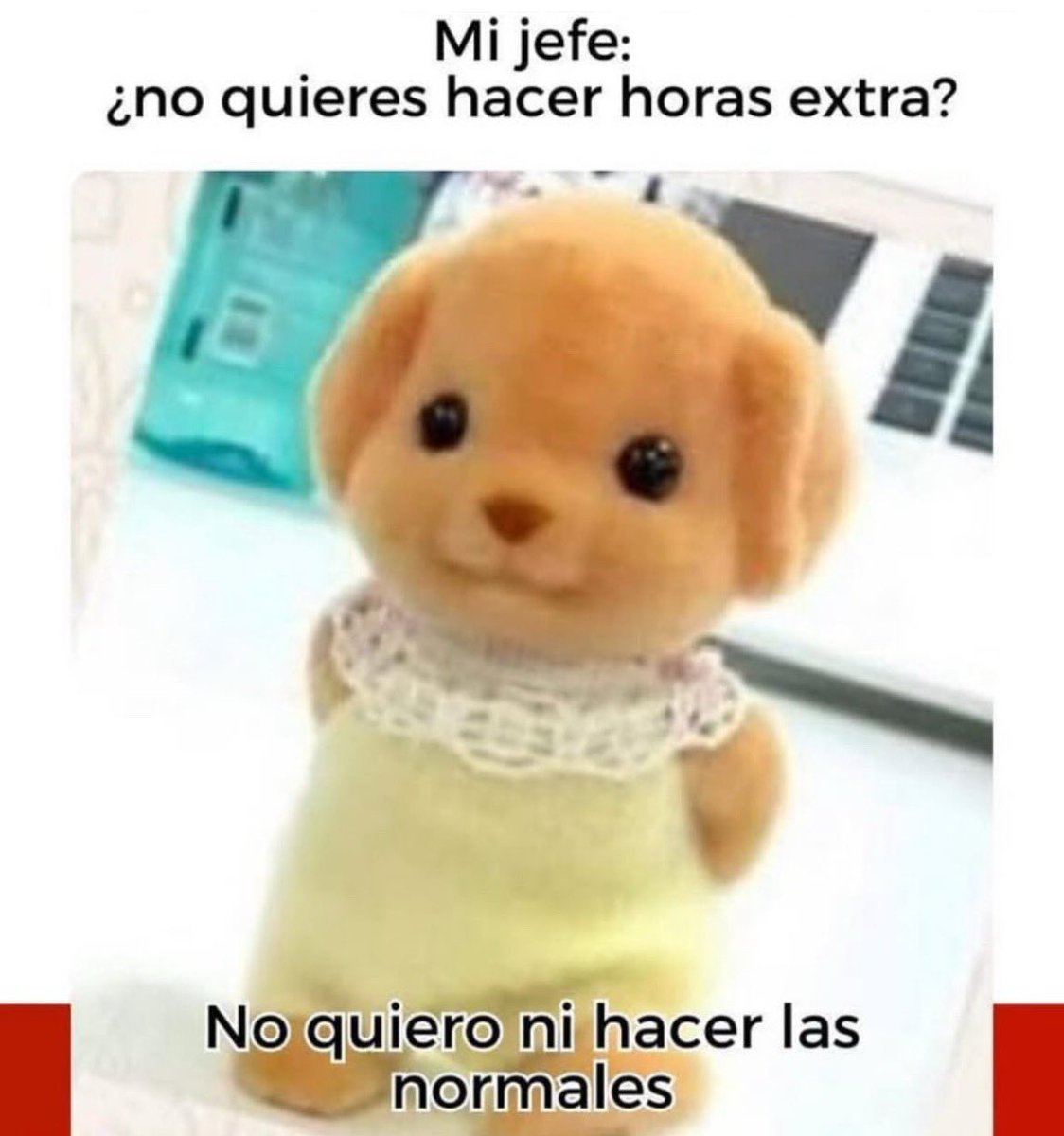 Muy buen día de jueves con aroma a viernes y a fin de semana largo… ♥️