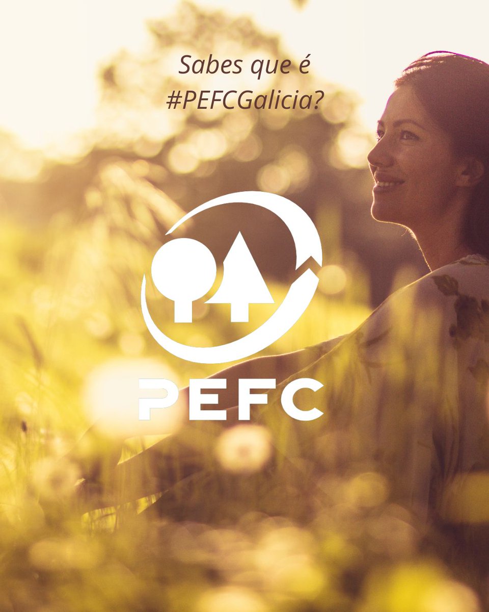 GaliciaPefc's tweet image. 🌿En Galicia, a #CertificaciónForestalPEFC garante unha xestión sostible dos montes, protexendo a biodiversidade e asegurando un futuro para o sector. Somos unha asociación sen ánimo de lucro que apoia a propietarios e empresas na certificación forestal. 🔎pefcgalicia.org