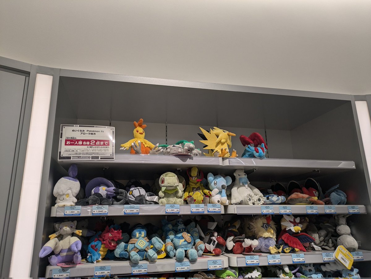 ポケセン、バシャナットサンダー並んでて可愛いね〜（可愛くない）