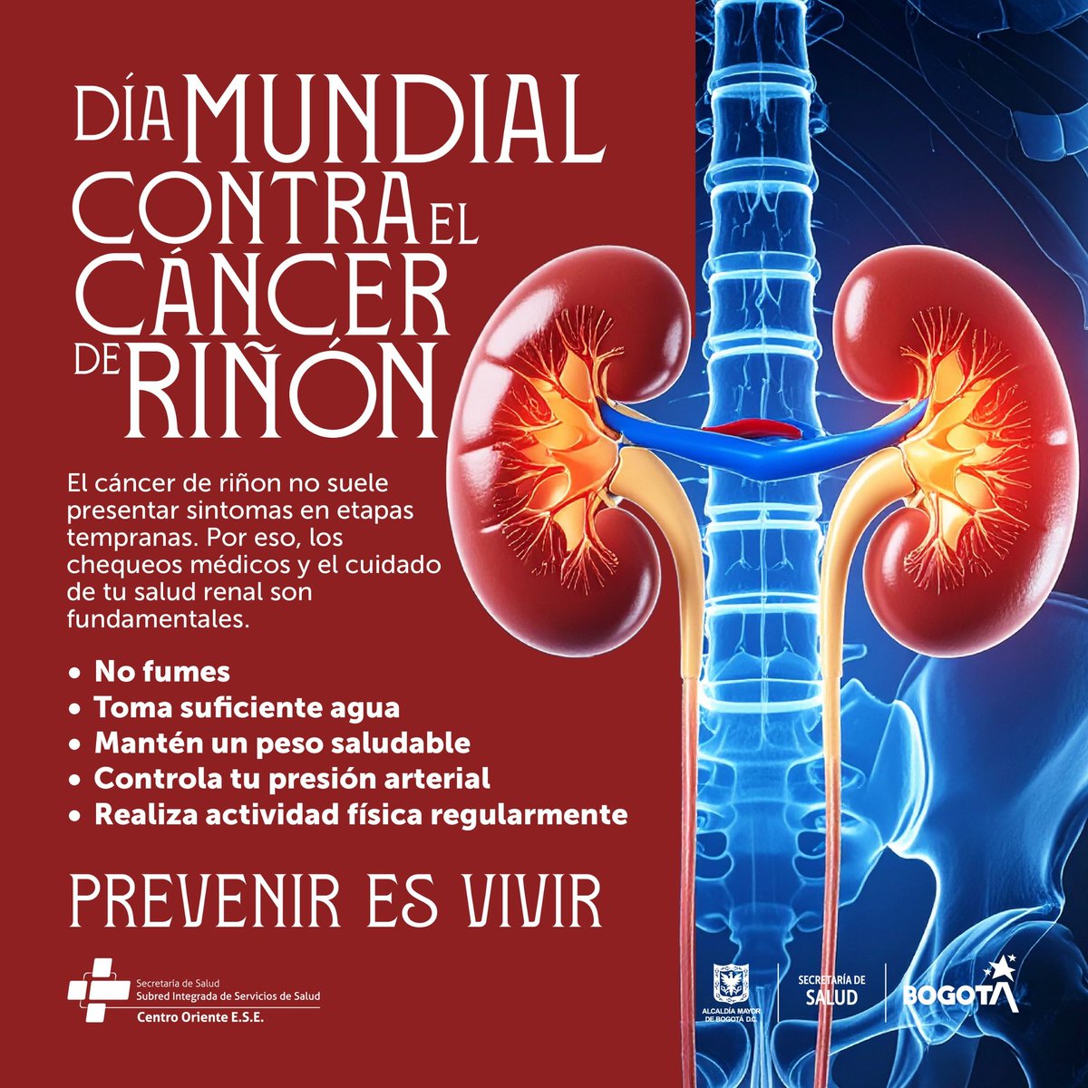 Día Mundial contra el Cáncer de Riñón

Desde la Subred Centro Oriente promovemos la detección temprana y el autocuidado.

👨‍⚕️ ¡Cuidar tus riñones es cuidar tu vida!
#DíaMundialDelCáncerDeRiñón #PrevenciónEsSalud #SubredCentroOriente #CuidamosDeTi