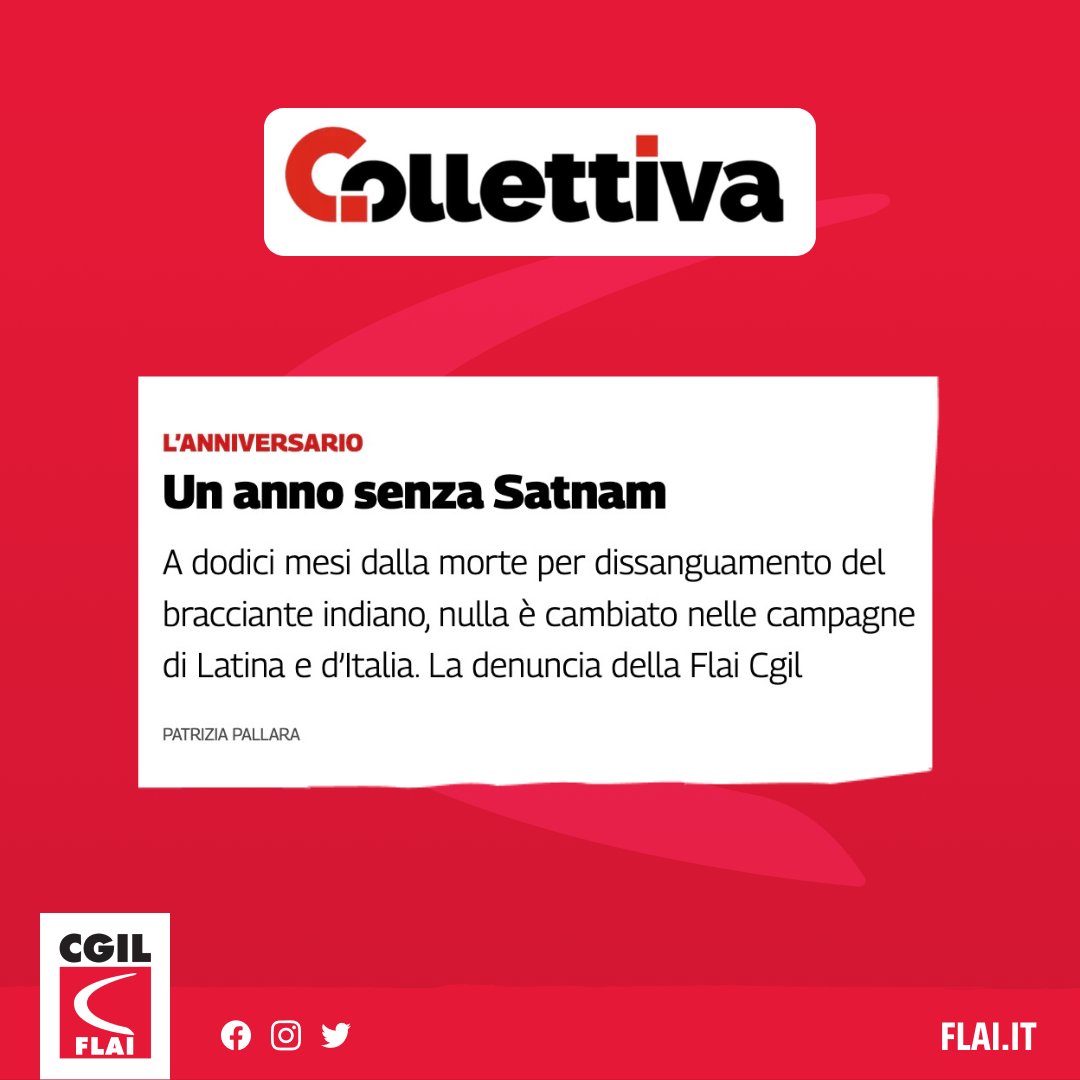 FLAI-CGIL (@flaicgil) on Twitter photo Su <a href="/collettiva_news/">Collettiva</a>, <a href="/PatriziaPallara/">Patrizia Pallara</a> ripercorre cosa è cambiato nelle campagne italiane ad un'anno dall'omicidio di Satnam Singh 👇
collettiva.it/copertine/lavo… Su <a href="/collettiva_news/">Collettiva</a>, <a href="/PatriziaPallara/">Patrizia Pallara</a> ripercorre cosa è cambiato nelle campagne italiane ad un'anno dall'omicidio di Satnam Singh 👇
collettiva.it/copertine/lavo…