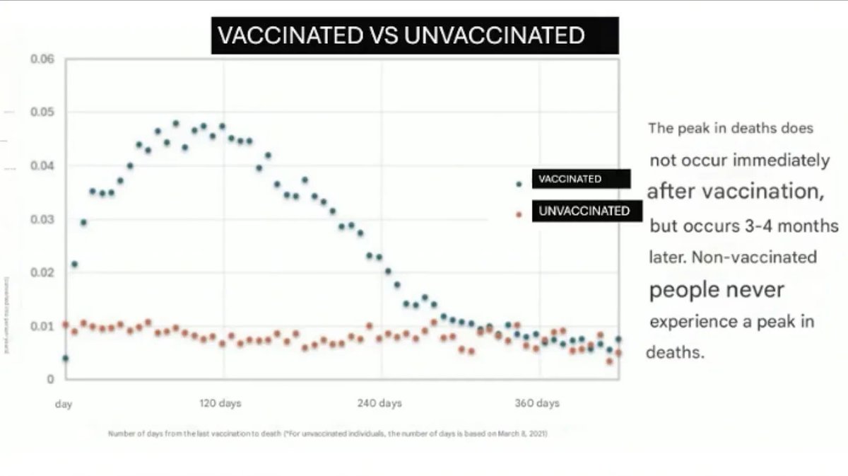 Japanissa on tehty tutkimus, jossa on yli 18 milj. ihmisen rokotetiedot ja tässä tutkimuksessa rokotetuilla oli enemmän kuolleisuutta kuin rokottamattomilla.
”Mitä enemmän piikkejä saat, sitä todennäköisemmin kuolet.”
Kuvassa rokottamattomilla ei ole havaittavaa ylikuolleisuutta.