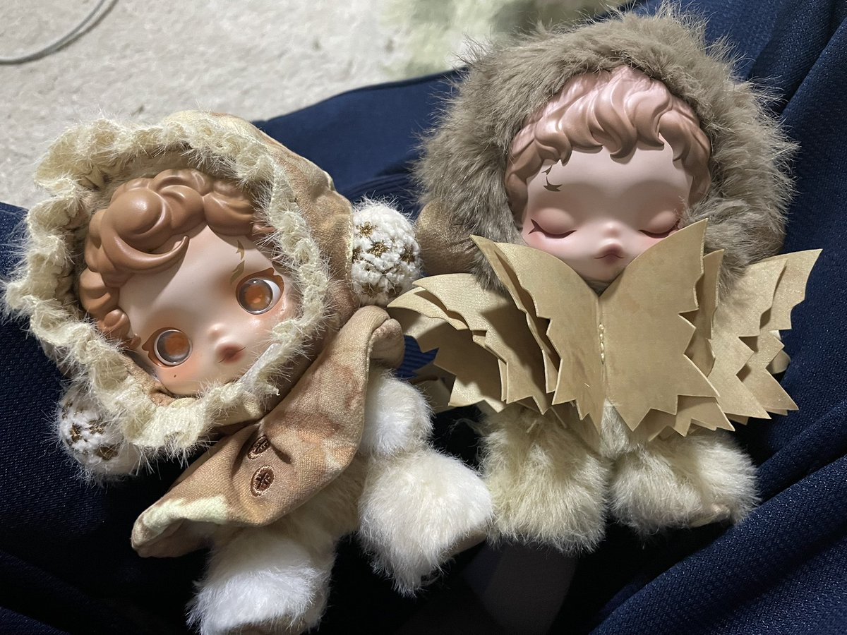 Bell_Deer81's tweet photo. とっっっっっても可愛い子をお迎えしました
ランダムにしては色味が揃いすぎている良すぎ https://t.co/6AmAn0fk08