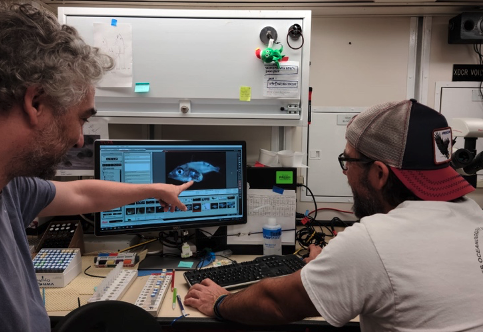 En estas zonas hay poco plancton, lo que favorece a las larvas de atún al haber menos predadores. Pero podrían no encontrar suficiente alimento.

En este contexto, el nitrógeno fijado por cianobacterias es la principal entrada de este elemento esencial en la cadena trófica.