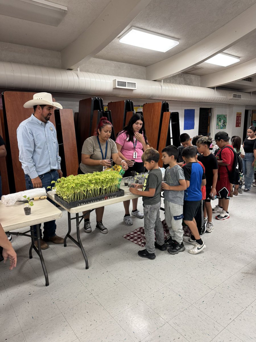 DelBosqueFarms's tweet image. Yesterday we presented our version of Ag in the classroom at Miano School in Los Banos. Students learned how we grow melons organically and the challenges we face. Each student got to take a seedling melon plant to grow at home. @LearnAboutAg