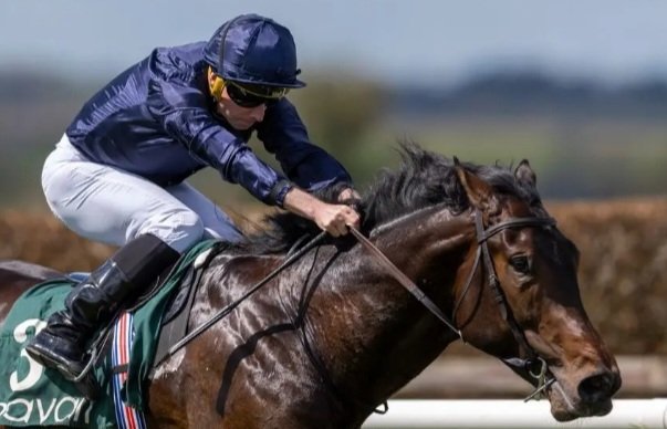 TrevCampbell's tweet image. #CharlesDarwin wins me £2,500 today after winning at #RoyalAscot day 3 boom 🏇💰