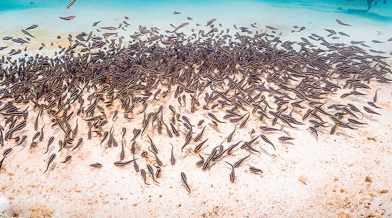 Chennai Rains (COMK) (@chennairains) on Twitter photo The second by Rekha on how understanding the changes Monsoon has gone through over many millenias could give us answers to what future may hold for us. Some interesting quotes from researchers who have been doing paleo climate studies. shaastramag.iitm.ac.in/lead-story/fla… The second by Rekha on how understanding the changes Monsoon has gone through over many millenias could give us answers to what future may hold for us. Some interesting quotes from researchers who have been doing paleo climate studies. shaastramag.iitm.ac.in/lead-story/fla…