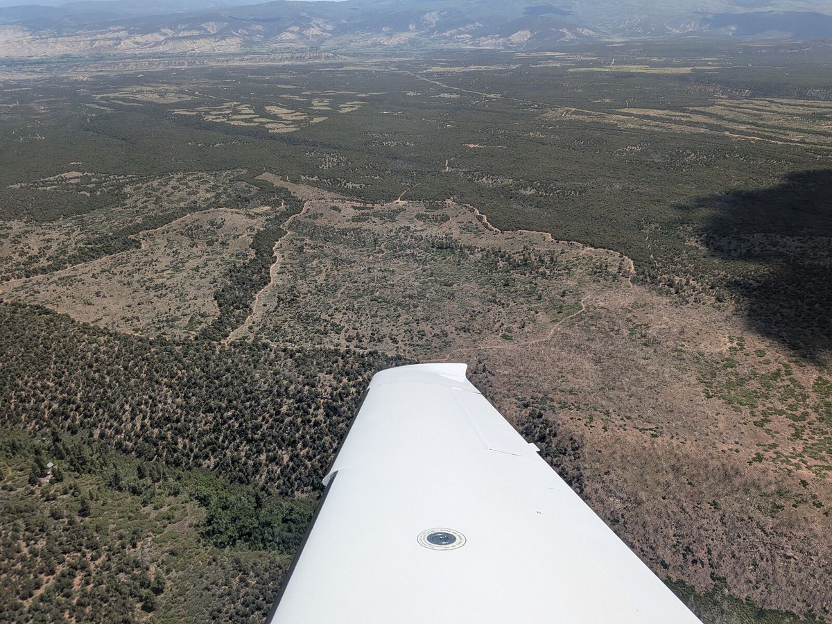 LightHawk 🌎🛩️ tweet media