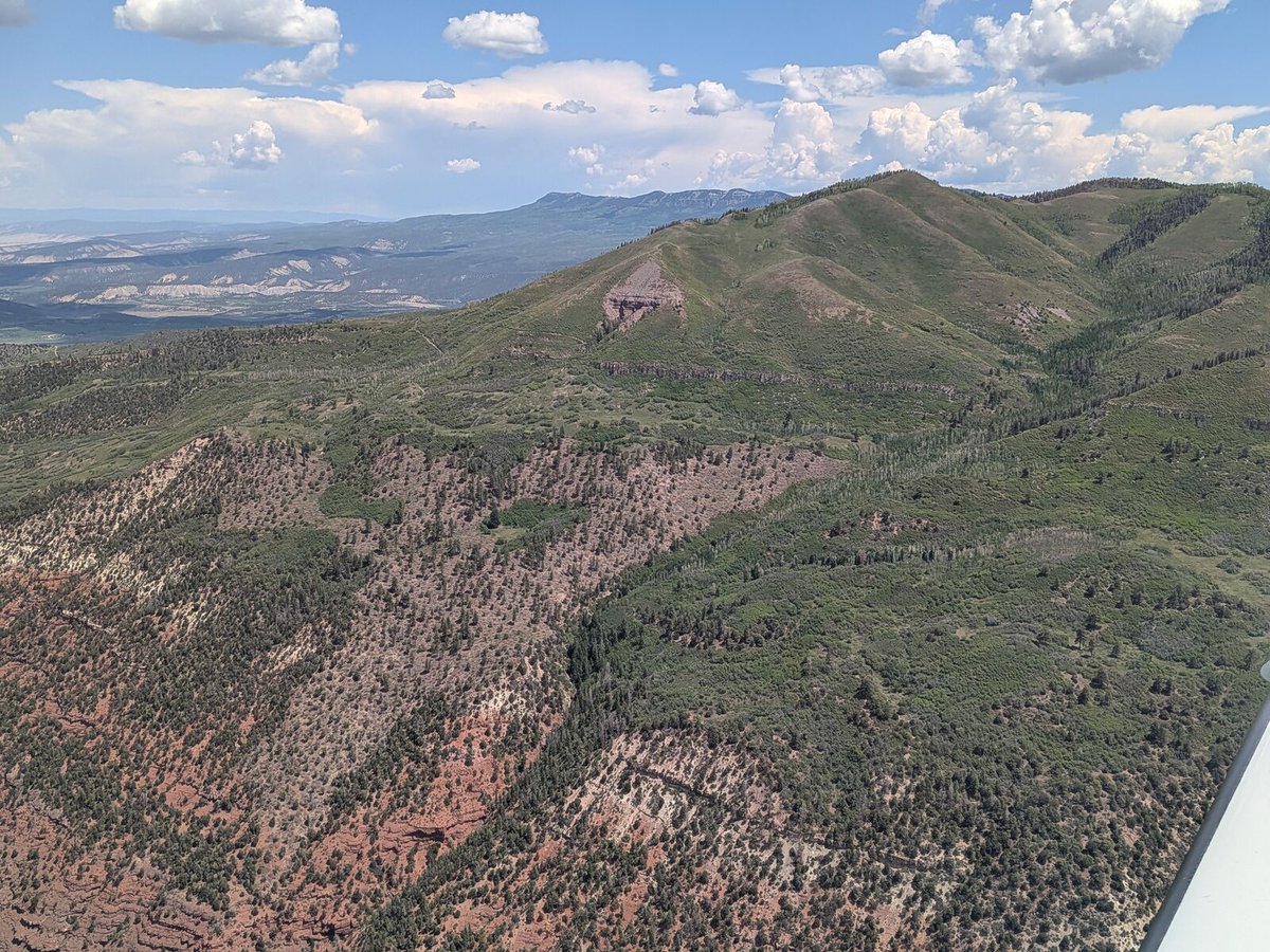 LightHawk 🌎🛩️ tweet media