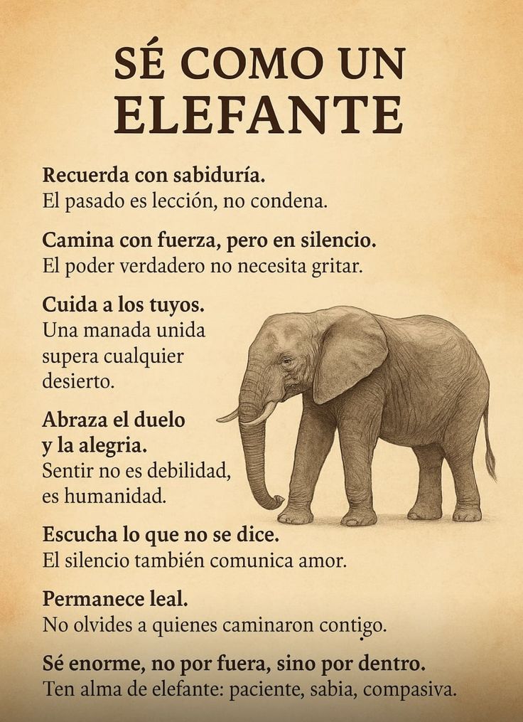 Se como un elefante 🐘 
#FraseDelDía 
#FelizJuevesParaTodos 
#BuenosDías
