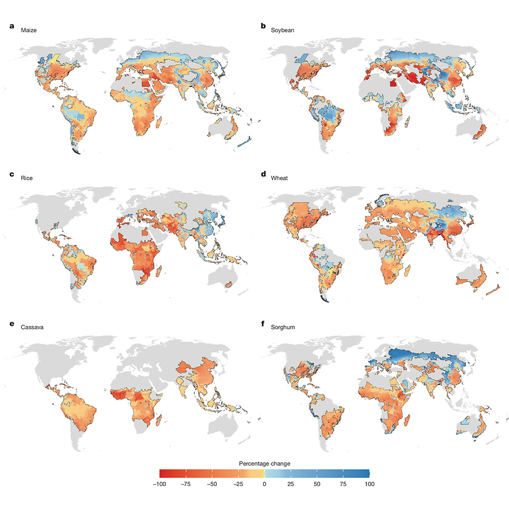 Most staple food crops are expected to experience substantial production losses due to climate change, even when mitigation measures to limit the impact of climate change are considered, according to a study in <a href="/Nature/">nature</a>. go.nature.com/4lxo2zN