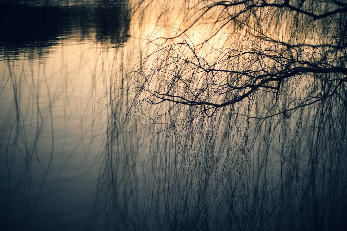 Nikon Zf
Thypoch Simera 50mm F1.4
#thypoch #thypochsimera