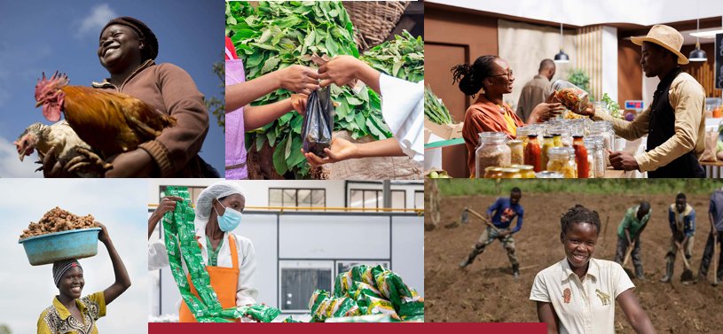 Midway into 2025, Our 2024 State of Business Report reveals over 70% of Cameroonian households rely on income-generating activities (IGAs). From farms to kiosks, IGAs drive rural economies, but challenges remain. The report offers insights &amp; solutions.
🔗bit.ly/40csYl3