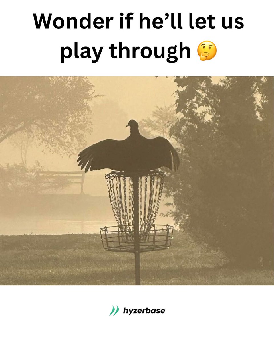 Would you wait or just skip the hole?

#discgolf #discgolflife #discgolfeveryday #discgolfing #discgolfcourse #discgolfislife #discgolfnation #discgolfprotour #discgolftournament #innovadiscs #discraft #pdga #hyzer #backhand #putting #discgolfcommunity #golf #frisbeegolf #chains
