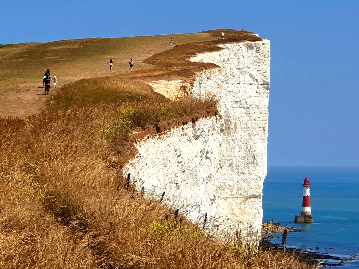René de Caluwé tweet media
