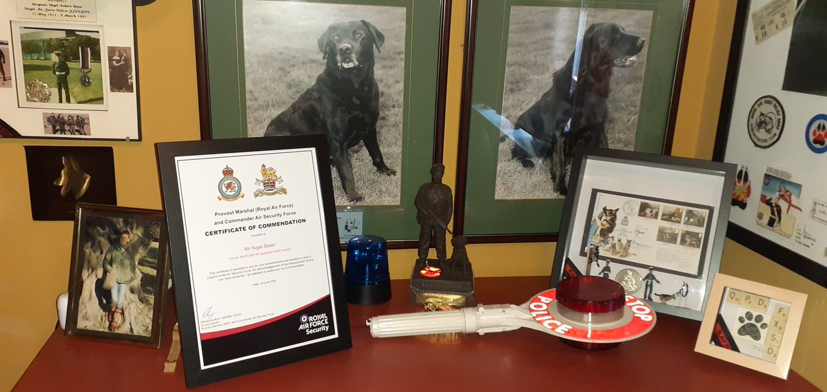 Nigel Bean🐾🐾 tweet media