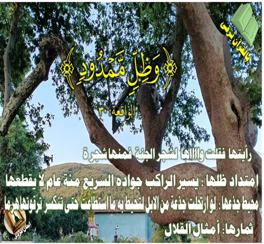 إيمان كردي (@iemanku) on Twitter photo  إيمان كردي (@iemanku) on Twitter photo