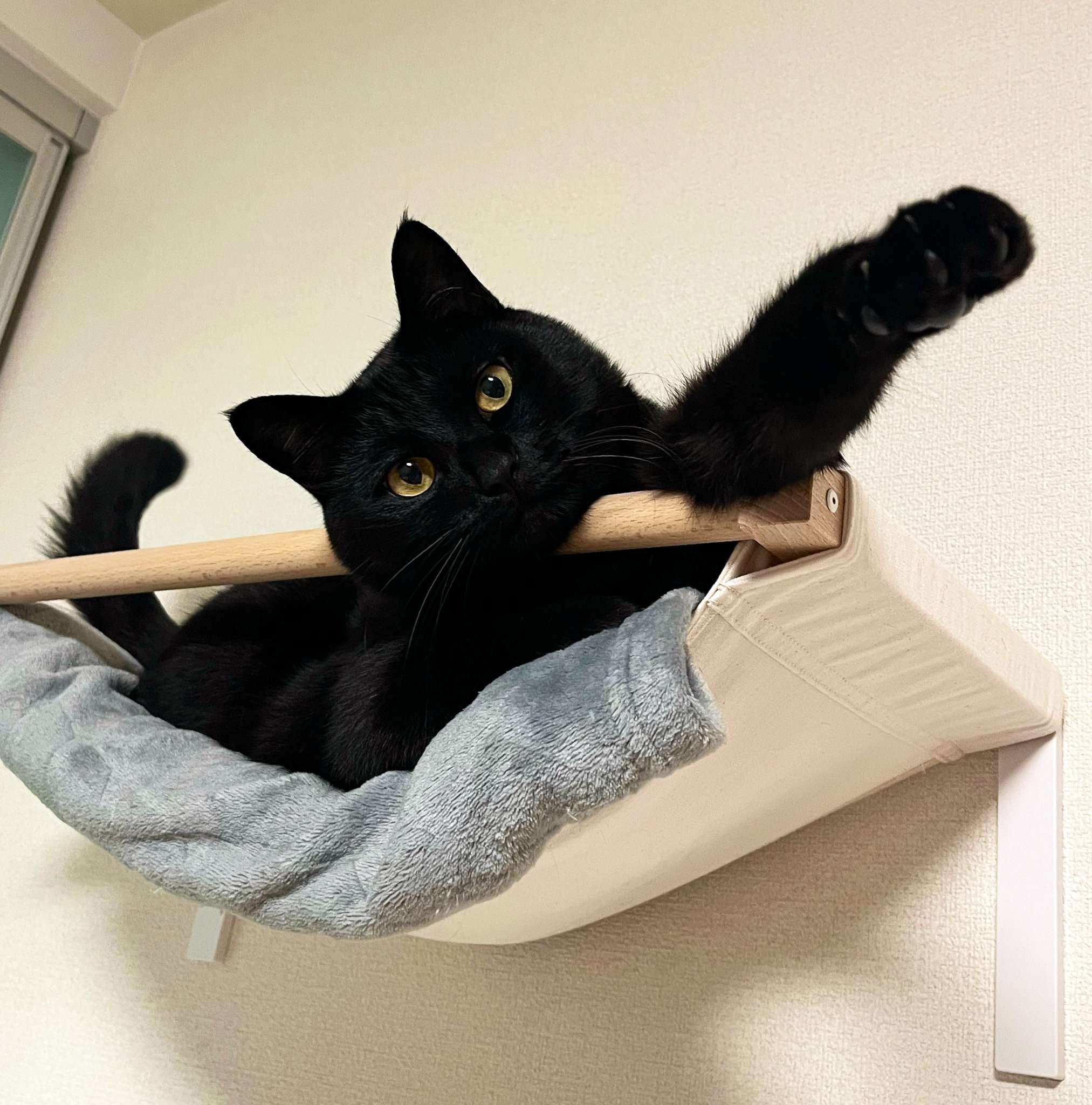 黒ネコにゃんにゃん様専用①