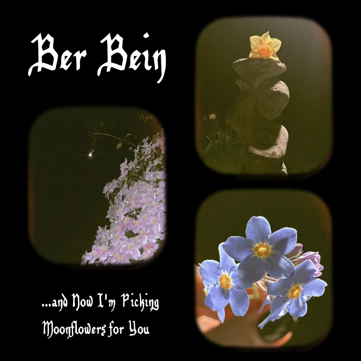 AIR Mastering tweet media