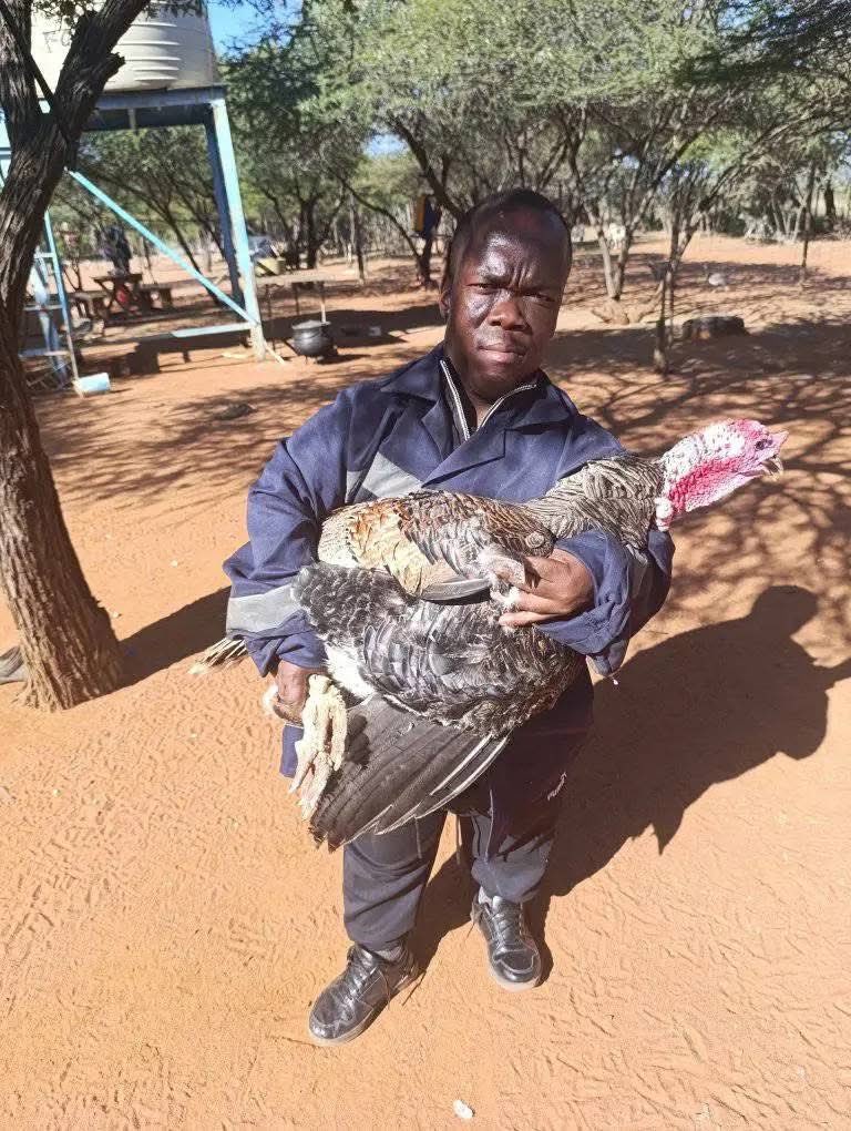 KIRIKUU✏️ tweet media