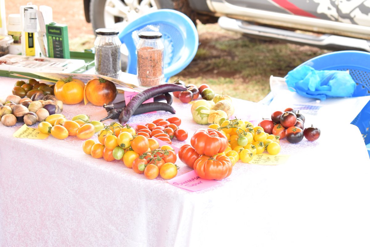 BIBA_Kenya's tweet image. History made! @KoanKenya hosted its 1st Agroecology Symposium in Kirinyaga, bringing together farmers, CSOs & policymakers to push for farmer-led food systems.
Proud to support @SACDEPkenya30, MUNET, @Scopekenya2, YARD & @EIPMA_kenya
#AgroecologyNow #FoodSovereignty