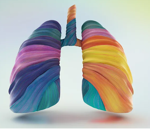 AssocEmergMedIE's tweet image. IAEM welcomes the enactment of the Human Tissue Act 2024 and reaffirms its commitment to supporting progressive and life-affirming organ and tissue donation in line with patient wishes.
Read more: bit.ly/4jWrqmg