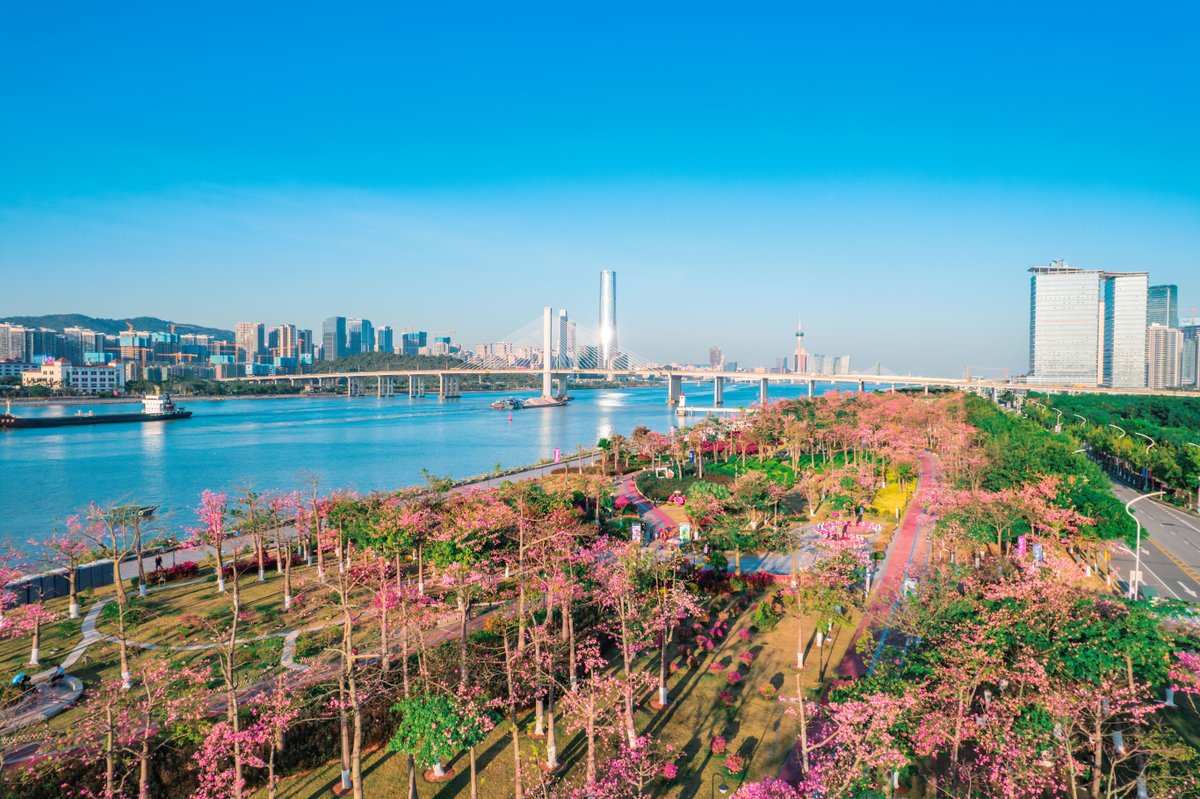 🥳📣Updates from a June 18 press conference revealed details about the #15thNationalGames and Special Olympics.🙌

This year's #NationalGames will feature 57 major events, while the Special Olympics will organize 46 events, marking the largest edition ever held in history.💫