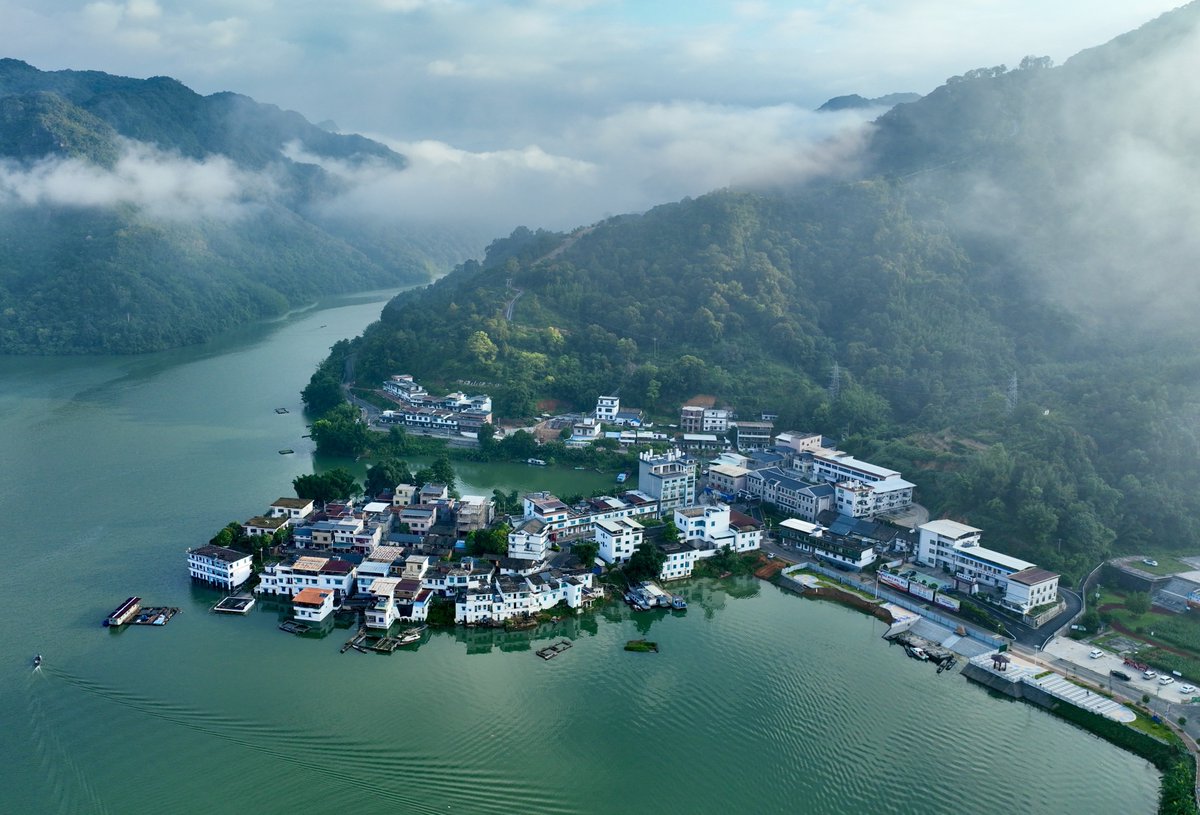 🌟A professional committee, made up of 19 expert members and eight corporate members, was established on Tuesday to guide the construction of a world-class "lake + green development zone" around Wanlyu Lake in #Heyuan.🌿🌊 #GDupdates 👉bit.ly/4jQzF3f