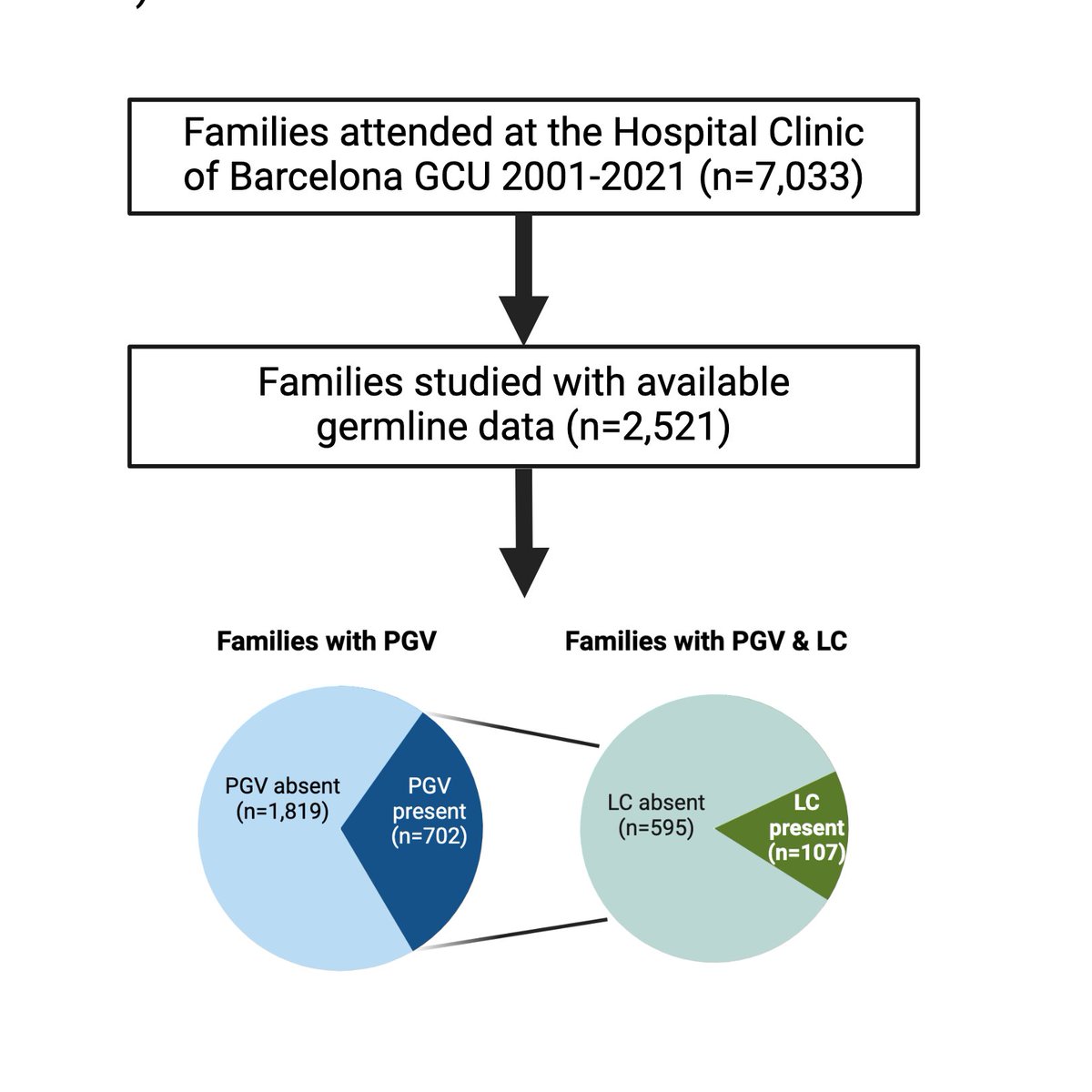 Juan Carlos Laguna (@jc_laguna_) on Twitter photo Over 20 years, 702 families were identified as PGV carriers after genetic counseling at the <a href="/hospitalclinic/">Hospital Clínic</a>
Interestingly, 15% of these PGV+ families had LC cases—significantly higher than in non-PGV families. Over 20 years, 702 families were identified as PGV carriers after genetic counseling at the <a href="/hospitalclinic/">Hospital Clínic</a>
Interestingly, 15% of these PGV+ families had LC cases—significantly higher than in non-PGV families.