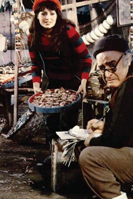 sunday (@ataturca) on Twitter photo 