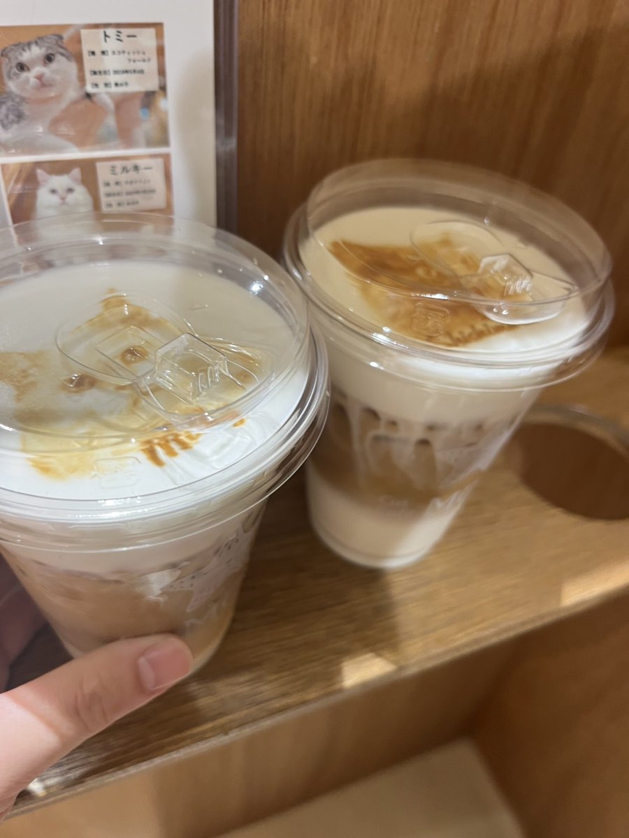 2P1Kx2's tweet image. 大阪の仲良しさんと、久しぶりに天王寺デート。
メシ食って、猫カフェ行って、お買い物してきました✨
この方とのお付き合いは、かれこれ3年くらいになるので、
『前はここに行ったねー』とか思い出話が盛り上がるので、非常に楽しく過ごせました！
#p活大阪　#p活天王寺　#p活津　#p活名古屋